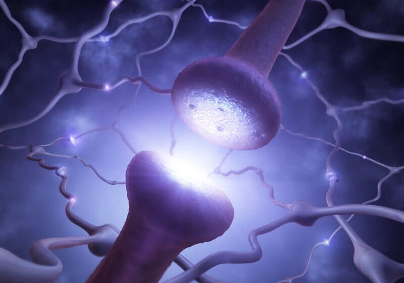 Closeup of the synapse transmitting signal along neuron network.