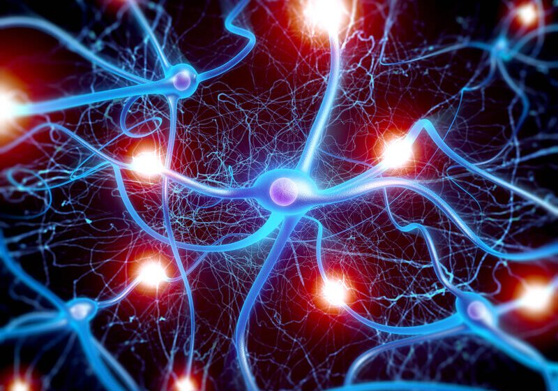 High quality 3d macro render of Neuron cells