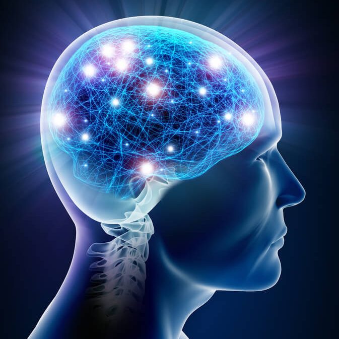 3d high resolution render of a human head with neurons inside