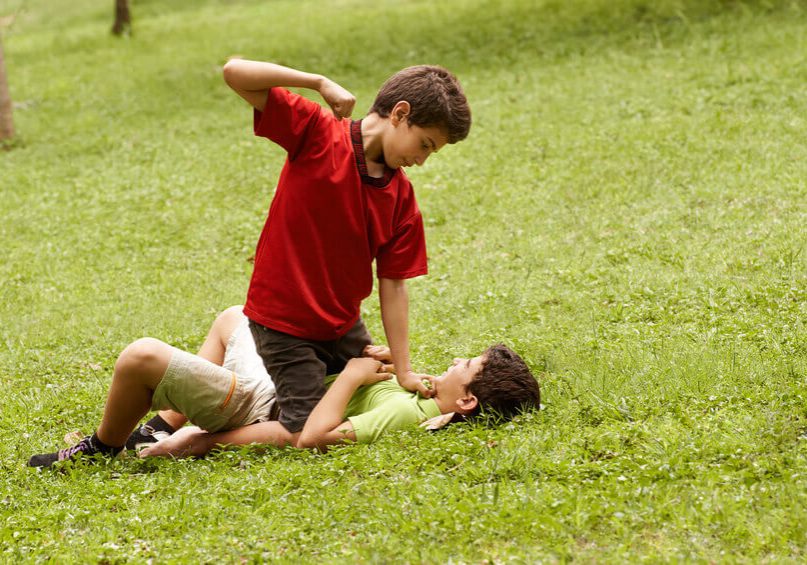 Two young brothers fighting and hitting on grass in park, with older boy sitting over the younger